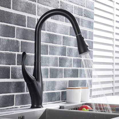 Contemporary 360° Swivel Kitchen Faucet with Hot and Cold Water