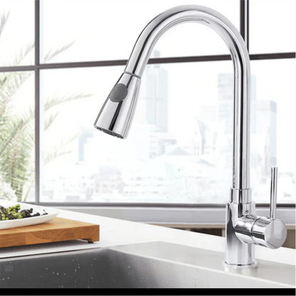 Expansive Gourmet Kitchen Faucet