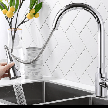 Expansive Gourmet Kitchen Faucet