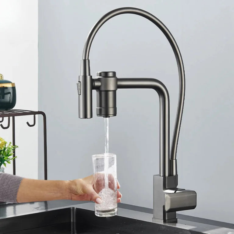 Gourmet Faucet with Single-Handle Filter